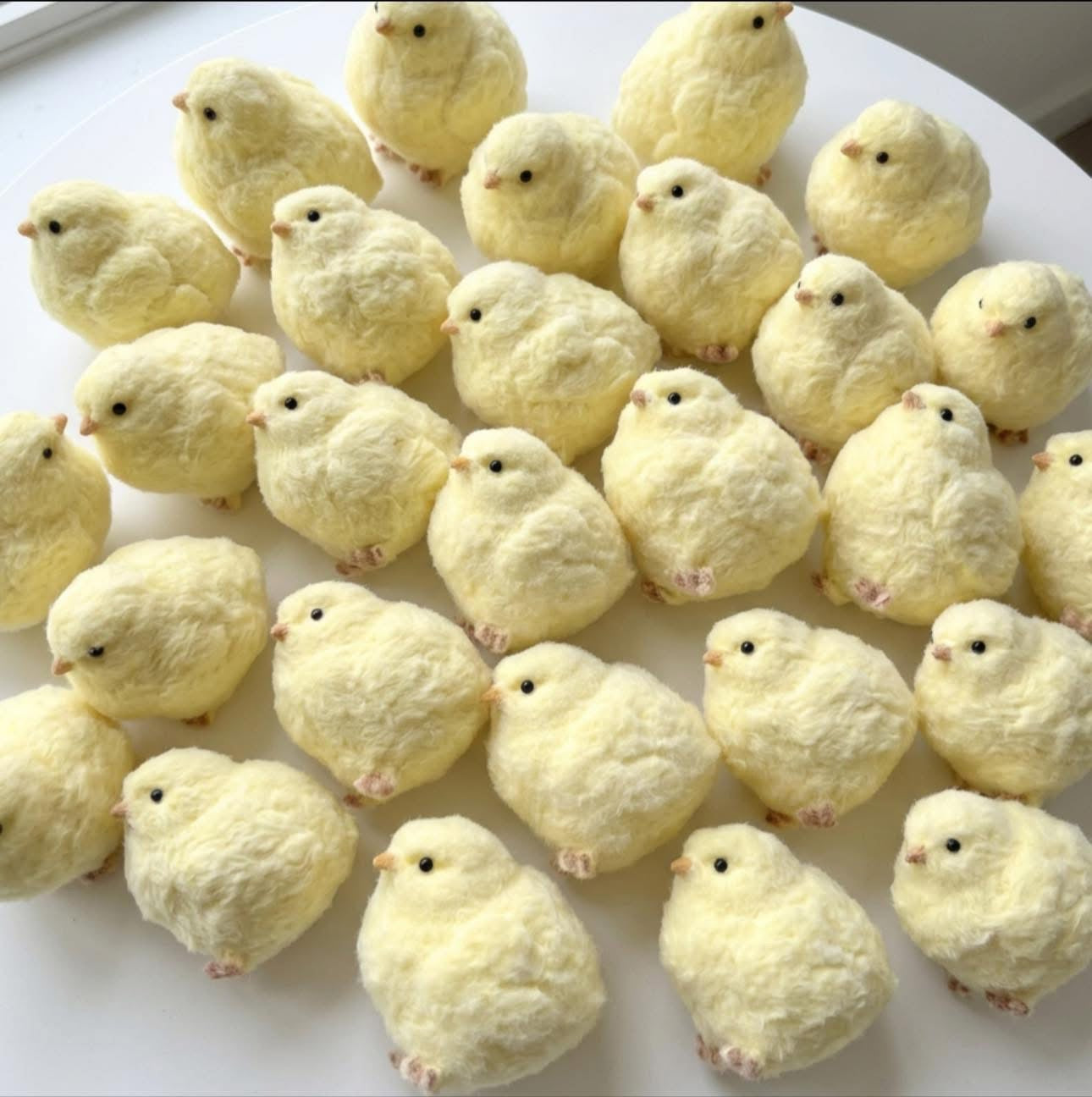 Baby Chick Squishy